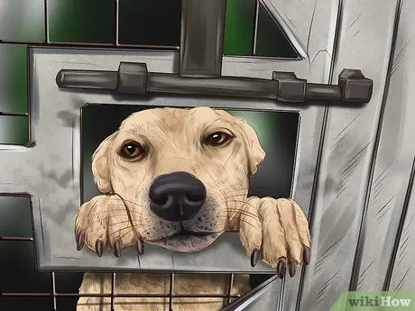 Постройте огород, подходящий для кур, шаг 3