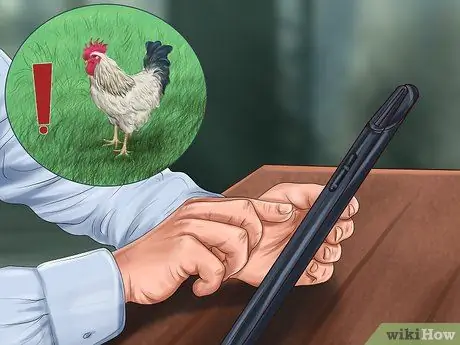 Постройте огород, подходящий для кур, шаг 5