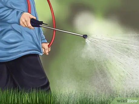 Постройте сад, дружелюбный к курицам, шаг 8