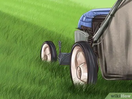 Постройте сад, дружелюбный к курицам, шаг 9