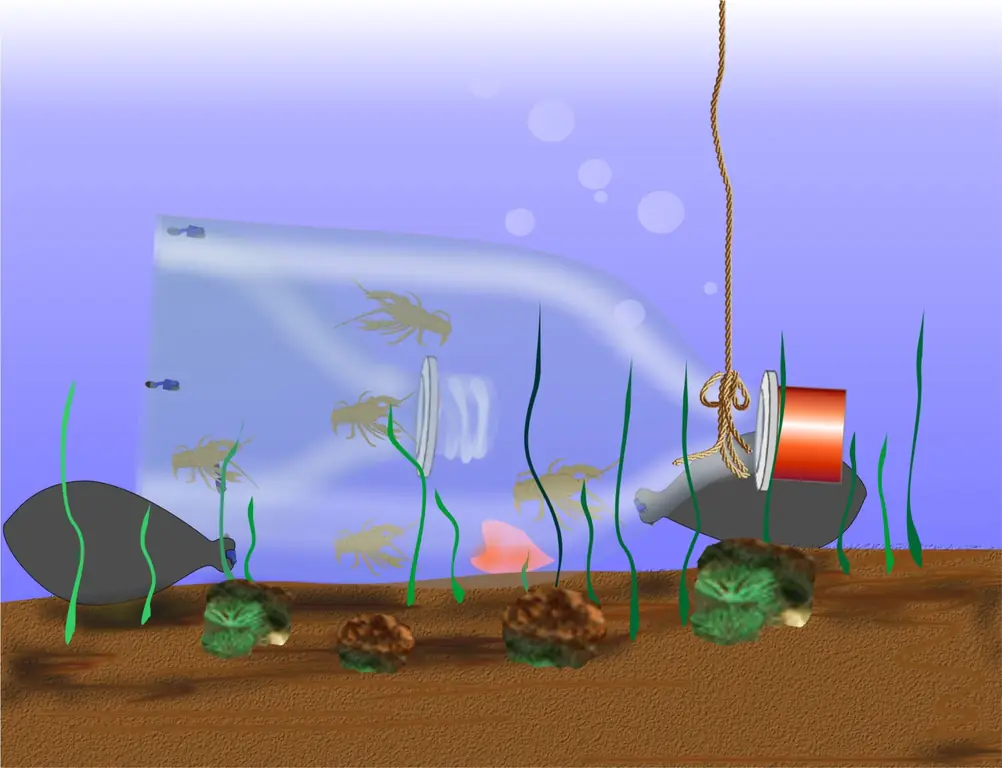 Как сделать ловушку для раков: 14 шагов (с иллюстрациями)