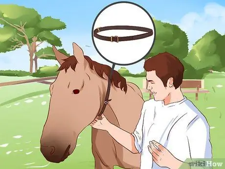 Перейти верхом на лошади Шаг 6