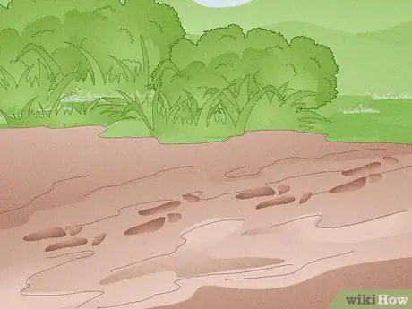 Охота на кролика Шаг 11