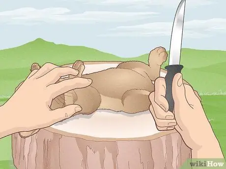 Охота на кролика Шаг 18