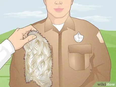 Охота на кролика Шаг 19