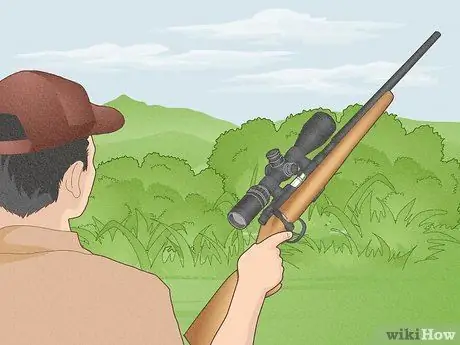 Охота на кролика, шаг 5