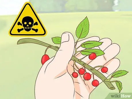 Начать коневодческую ферму Шаг 10