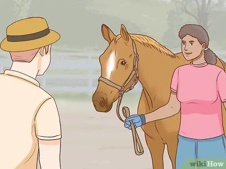 Начать коневодческую ферму Шаг 19