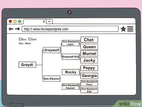 Начать коневодческую ферму Шаг 20