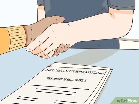 Начать коневодческую ферму Шаг 21