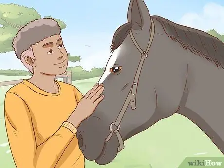 Начать коневодческую ферму Шаг 22