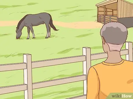 Начать коневодческую ферму Шаг 23