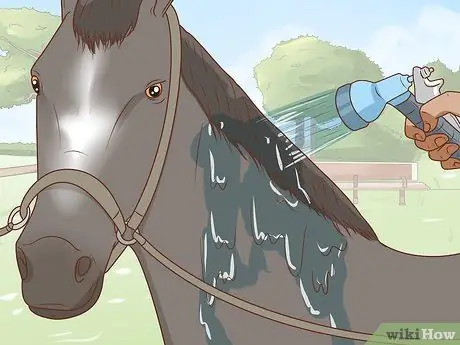 Начать коневодческую ферму Шаг 24