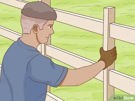 Начать коневодческую ферму Шаг 25