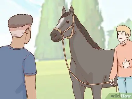 Начать коневодческую ферму Шаг 26