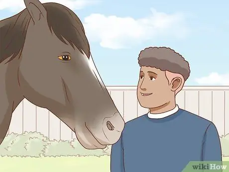 Начать коневодческую ферму Шаг 35