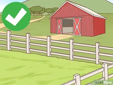 Начать коневодческую ферму Шаг 4