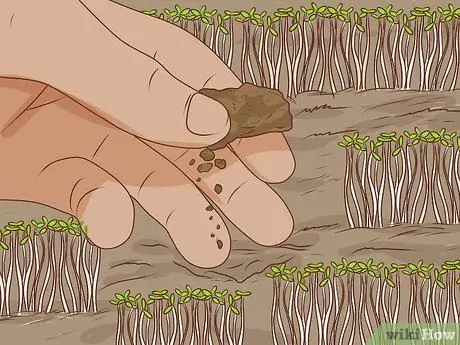 Начать коневодческую ферму Шаг 6