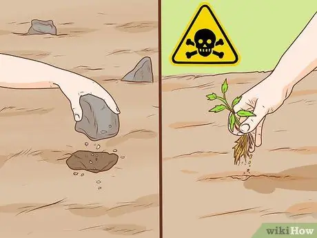 Начать коневодческую ферму Шаг 9