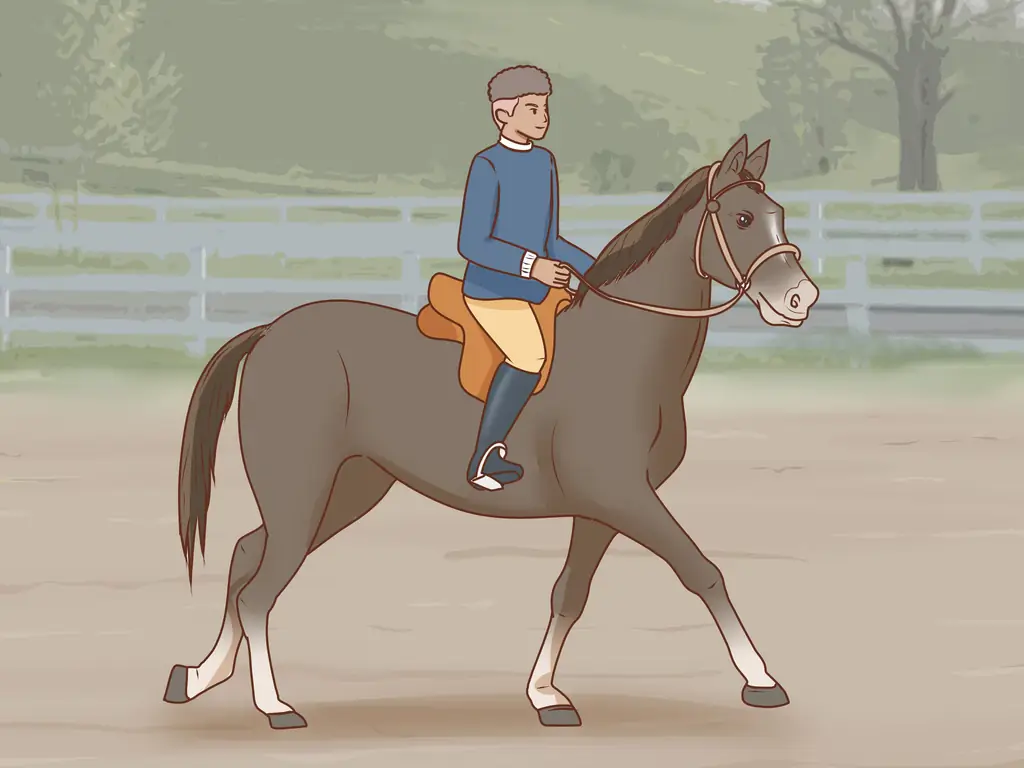 6 способов открыть коневодческую ферму