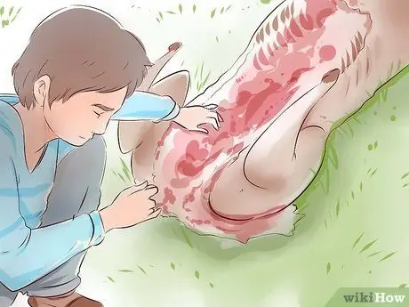 Стрелять в оленя Шаг 17