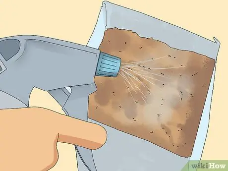 Выращивать вешенки Шаг 12