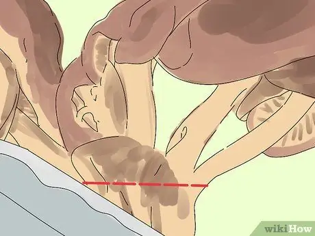 Выращивать вешенки Шаг 13