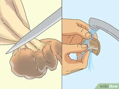 Выращивать вешенки Шаг 14