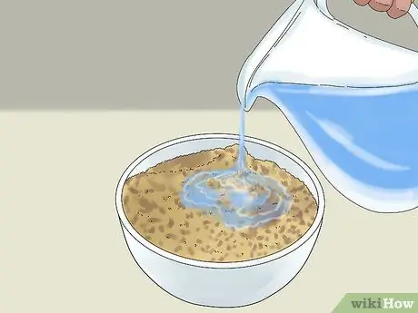 Выращивайте вешенки, шаг 5