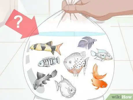 Покупка нового аквариума Шаг 1