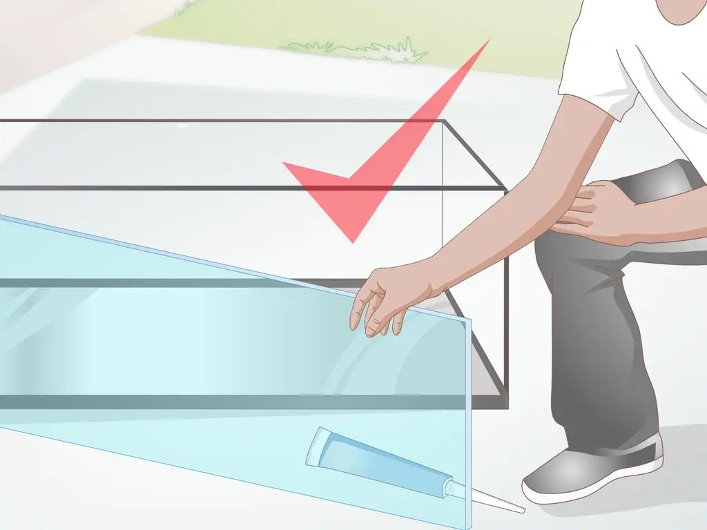 Как купить новый аквариум: 15 шагов (с иллюстрациями)