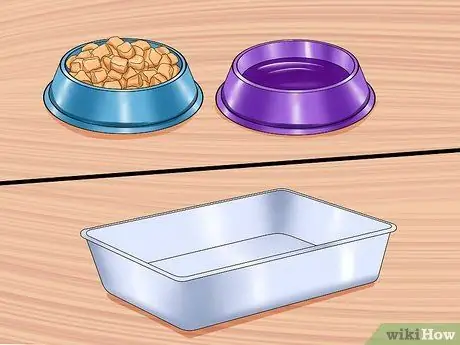 Планируйте и готовьтесь к новой кошке Шаг 7