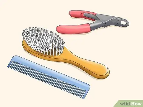 Спланируйте и подготовьтесь к своей новой кошке Шаг 9