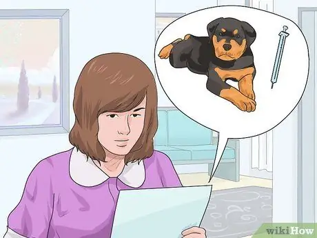 Привезти собаку в Соединенные Штаты Шаг 5