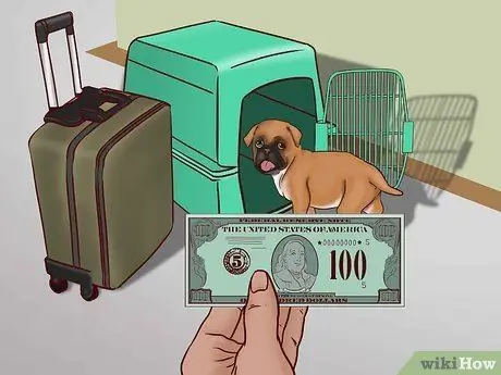 Летайте вместе с собакой внутри страны Шаг 1