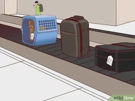 Летайте вместе с собакой внутри страны Шаг 11