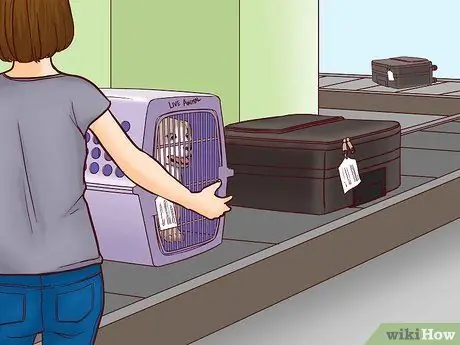 Летайте вместе с собакой внутри страны Шаг 12