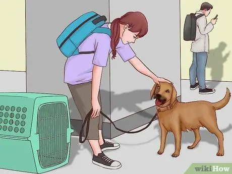 Летайте вместе с собакой внутри страны Шаг 13