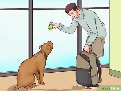 Летайте вместе с собакой внутри страны Шаг 14