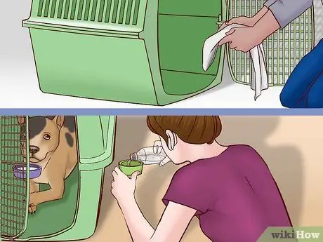 Летайте вместе с собакой внутри страны Шаг 15