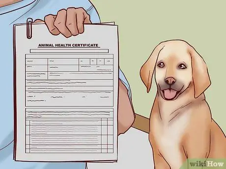 Летайте вместе с собакой внутри страны, шаг 2