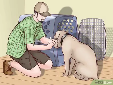 Летайте вместе с собакой внутри страны Шаг 4