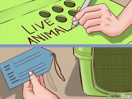 Летайте вместе с собакой внутри страны Шаг 5