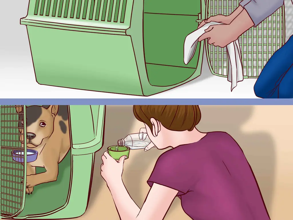 Как летать с собакой в домашних условиях: 15 шагов (с иллюстрациями)