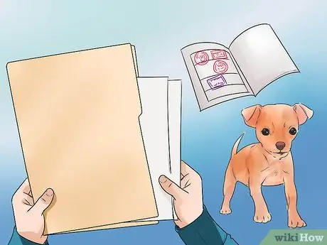 Путешествие из США в Канаду с собаками Шаг 1