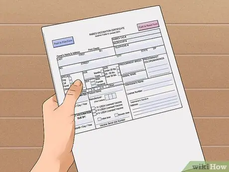 Путешествие из США в Канаду с Dogs Step 2