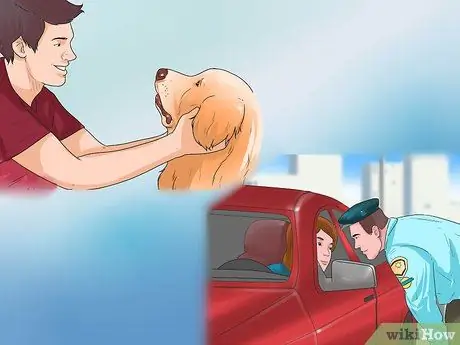 Путешествие из США в Канаду с Dogs Step 8