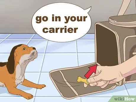 Отправьте свою собаку в переноску Шаг 7