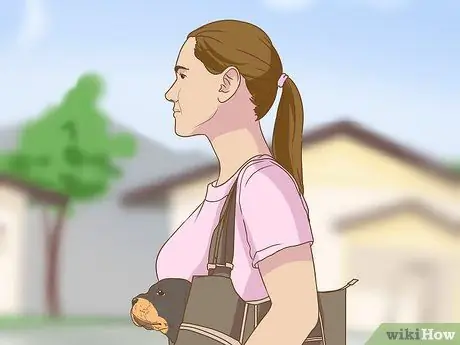 Заставьте собаку ездить в переноске Шаг 8