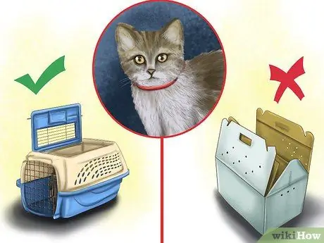 Держите кошку в безопасности в машине Шаг 1